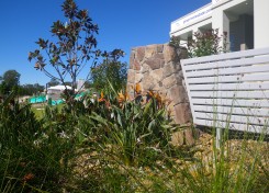 Landscape design development projects on the Sunshine Coast